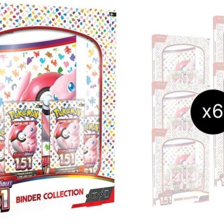 151 Binder Collection Case